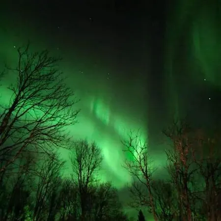 Tromso Stunning Luxury A Larseng