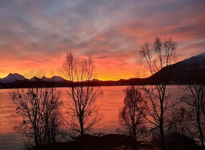 Tromso Stunning Luxury A Larseng